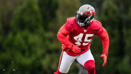 Atlanta Falcons 2021 season in review: Linebackers