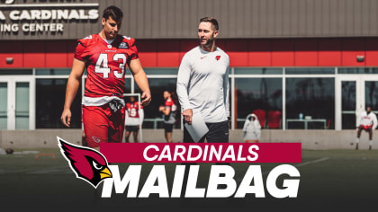 Countdown to Camp: Cardinals WRs, TEs, and Specialists