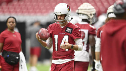 Arizona Cardinals training camp: Andy Lee returns to No. 4