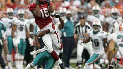 Arizona Cardinals receiver Steve Breaston (15) in an NFL football