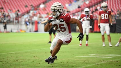 Buccaneers Training Camp Battle: Inside Linebacker - A to Z Sports