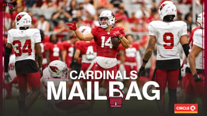 The Story of the Arizona Cardinals (NFL Team Stories)