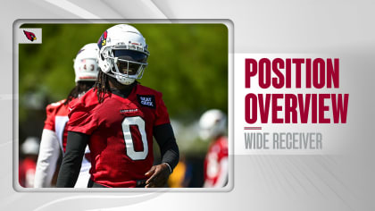 Arizona Cardinals have plenty of options to be the number two wide receiver  in 2021 - Revenge of the Birds