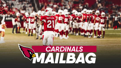 Arizona Cardinals on X: Cardinals skins are back up on the