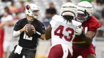 Colt McCoy leads Arizona Cardinals to decisive 23-13 win over