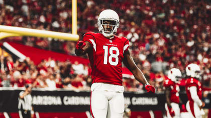 arizona cardinals wide receivers