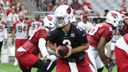 Josh Rosen hoping to 'apply what I've learned' in next NFL