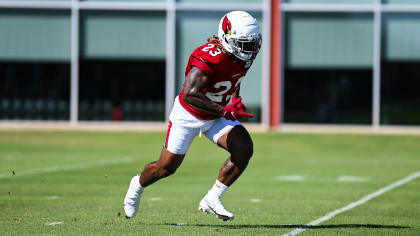 Arizona Cardinals Welcome 11 Rookies to Their Active Roster for the  Upcoming Season - BVM Sports