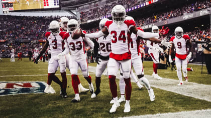 Cardinals' Team PFF Grades Through 11 Games - Revenge of the Birds