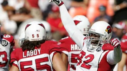 Arizona Cardinals Pro Bowl defensive end Bertrand Berry celebrates