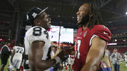 Larry Fitzgerald at Pitt: The people's guide - Banner Society