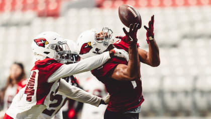 Arizona cardinals wide receiver larry hi-res stock photography and