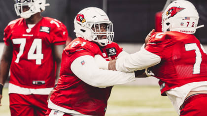 Arizona Cardinals center Rodney Hudson (61) during the first half