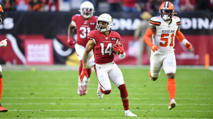 Beanie Wells turns in career season for Cardinals