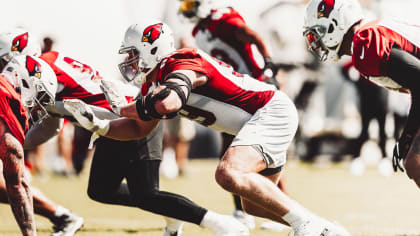 Snap counts and pro football focus grades for Cardinals against 49ers, Zaven  Collins, J.J. Watt, DeAndre Hopkins grade well