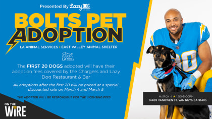 San Diego Chargers Host Dog Draft For Shelter Pups Needing A Forever  Team