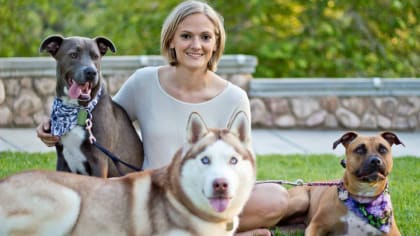 Petco Has Chiefs and Eagles Dog Jerseys on Sale Ahead of Super Bowl