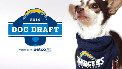 Dog Draft Hits Home for Chargers Organization