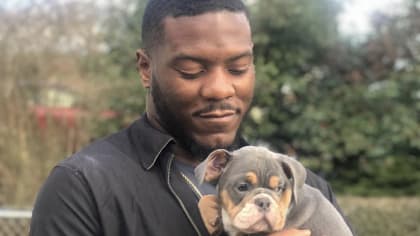 49ers french bulldogs｜TikTok Search