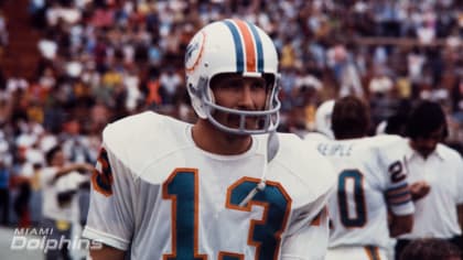 dolphins number 13