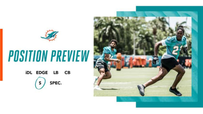 Miami Dolphins 2020 Training Camp Preview: Safeties