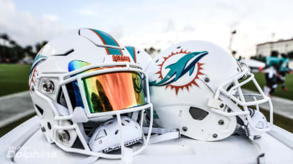 the dolphins helmet｜TikTok Search