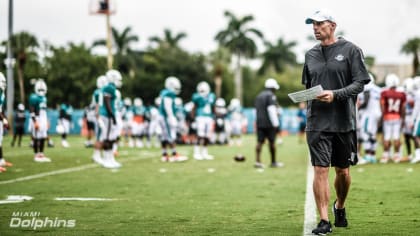 Miami Dolphins - First-year coordinators Chad O'Shea and Patrick