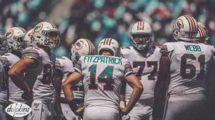 Dolphins aim for 2nd 3-game win streak when they meet Bears - The