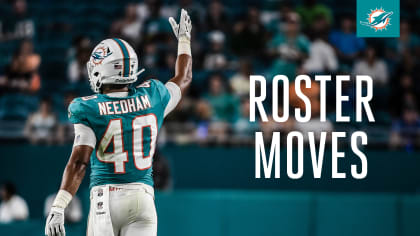 Miami Dolphins sign Robbie Chosen and Cameron Goode, elevate Chase Winovich  to active roster - BVM Sports