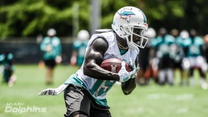 14 Highlights From Tuesday's Minicamp Practice