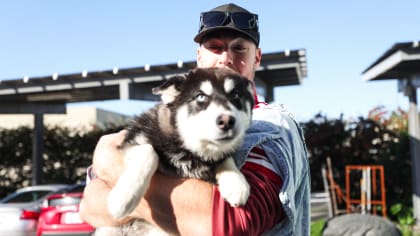 49ers Dog 