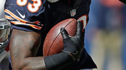 Chicago Bears wide receiver Johnny Knox (13) reacts after a 24-yard  touchdown reception against the