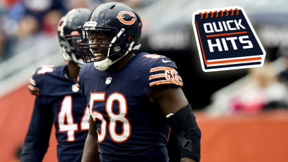 A Scout's Take: Here's what preseason taught us about the Chicago Bears -  Windy City Gridiron