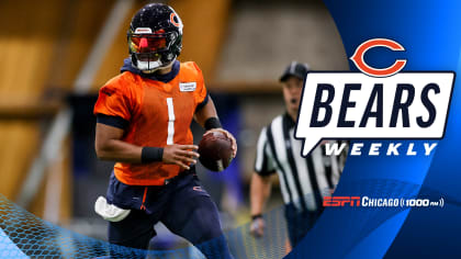 Bears Claws Chicago Bears news & info Online Radio by Papa Bear