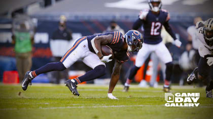 Photos: Gameday Gallery  Chicago Bears Official Website