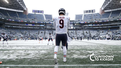 Chicago Bears National Football League fans watch opening day game v  Cincinnati Bengals, Soldier Field, Chicago, Illinois, USA Stock Photo -  Alamy