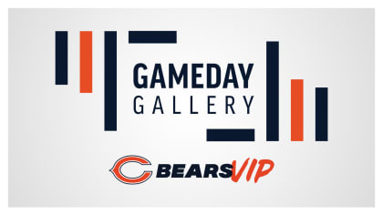 Photos: Gameday Gallery  Chicago Bears Official Website