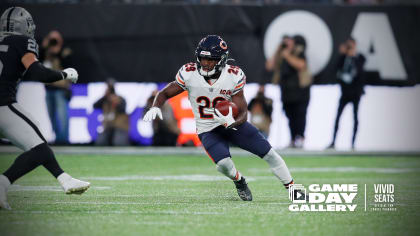 Gameday Gallery: Bears vs. Texans