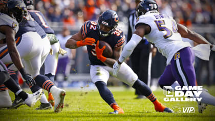 Photos: Gameday Gallery  Chicago Bears Official Website