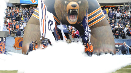 Fans can use a Bears background on Zoom, Join.Me, Webex, and other video  conferencing apps