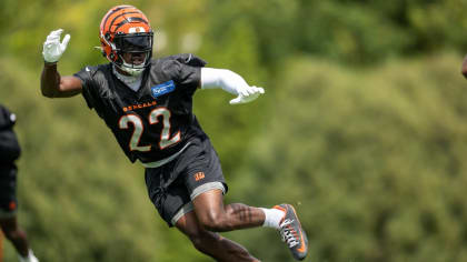 Bengals News (8/31): Michael Jordan on Trade Block? - Cincy Jungle