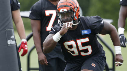 Bengals' DL Renell Wren carted off after leg injury during practice