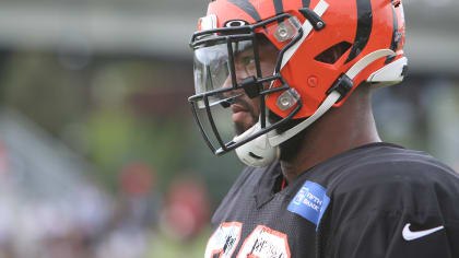 Cincinnati Bengals cornerback Anthony Chesley (38) during NFL