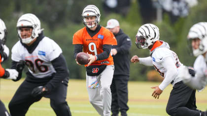 Cincinnati Bengals linebacker Clay Johnston (44) runs for the play during  an NFL football game against the Kansas City Chiefs, Sunday, Dec. 4, 2022,  in Cincinnati. (AP Photo/Emilee Chinn Stock Photo - Alamy