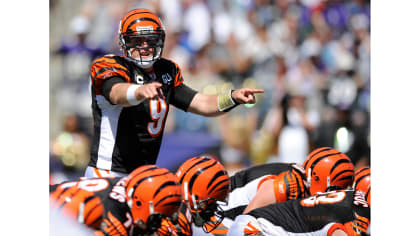 Cincinnati bengals full 2560×1920