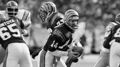 Cincinnati Bengals: Team History