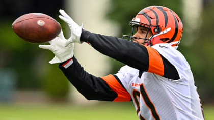 Cincinnati Bengals tight end Irv Smith Jr. (81) runs with the ball