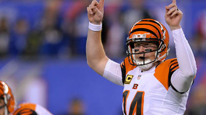 Bill Belichick intrigued by Andy Dalton, per report - Cincy Jungle