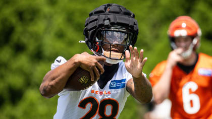 Training Camp Report: Summer Regimen Boosts Tee Higgins; Bengals Embrace  Tuesday's First Day In Pads