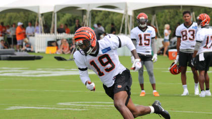 Cincinnati Bengals rookie WR Auden Tate impresses at minicamp